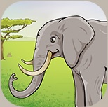 App Dyr